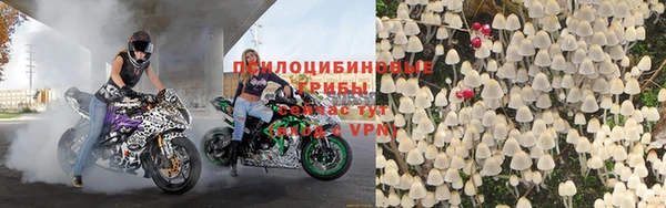 бошки Слюдянка