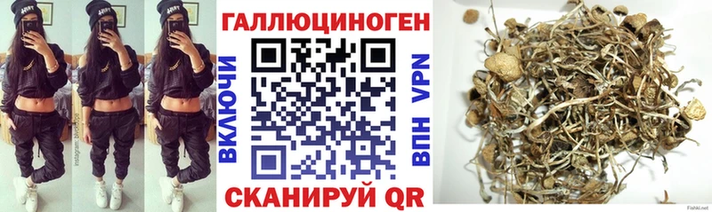 Псилоцибиновые грибы Cubensis  Обь 